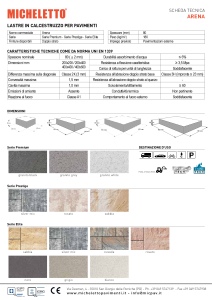ARENA scheda-tecnica