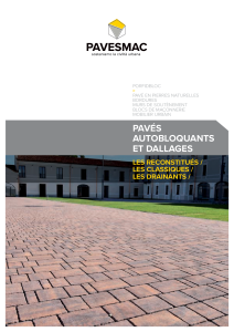 CATALOGUE DE DRAINANTS