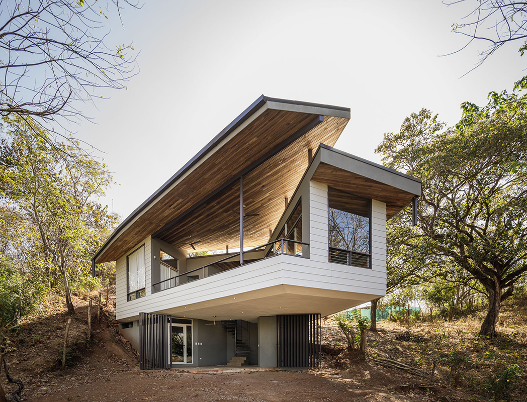 suspended roof covering in wood