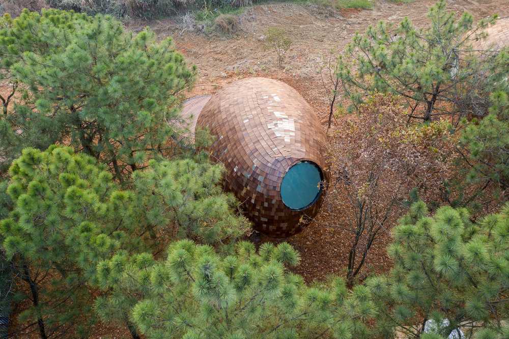 The Seeds: four futuristic wooden houses with an ellipsoidal shape