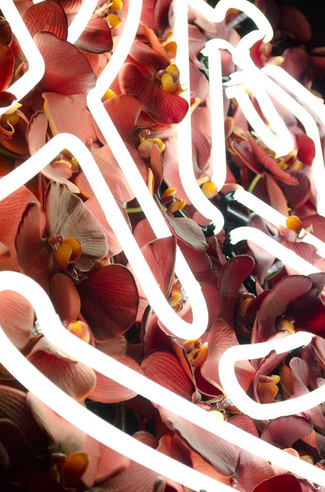 Ho Lee Chix. Red flowers and crane-shaped neon for a street food stall