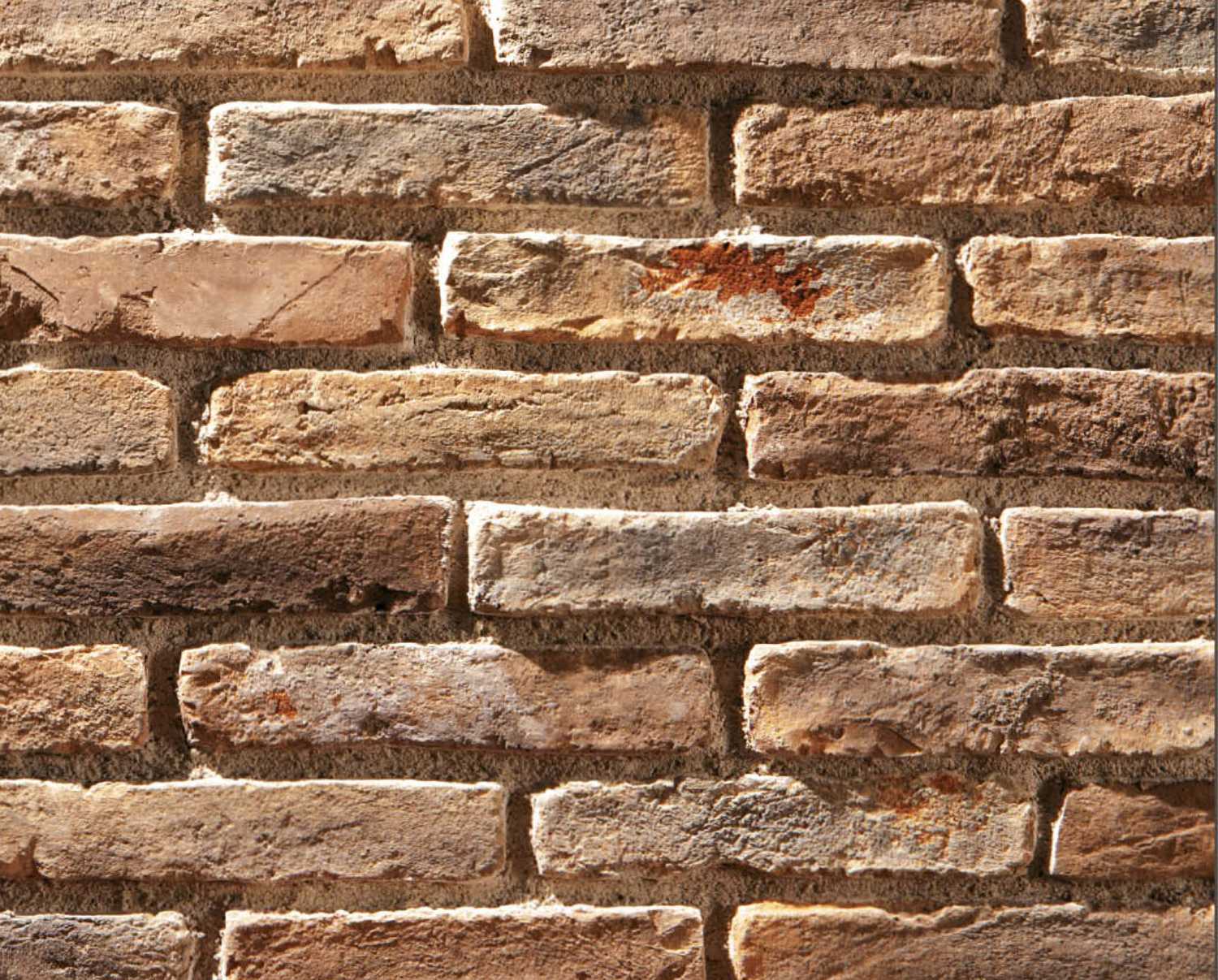 Stone cladding Terracotta Profile Briale model