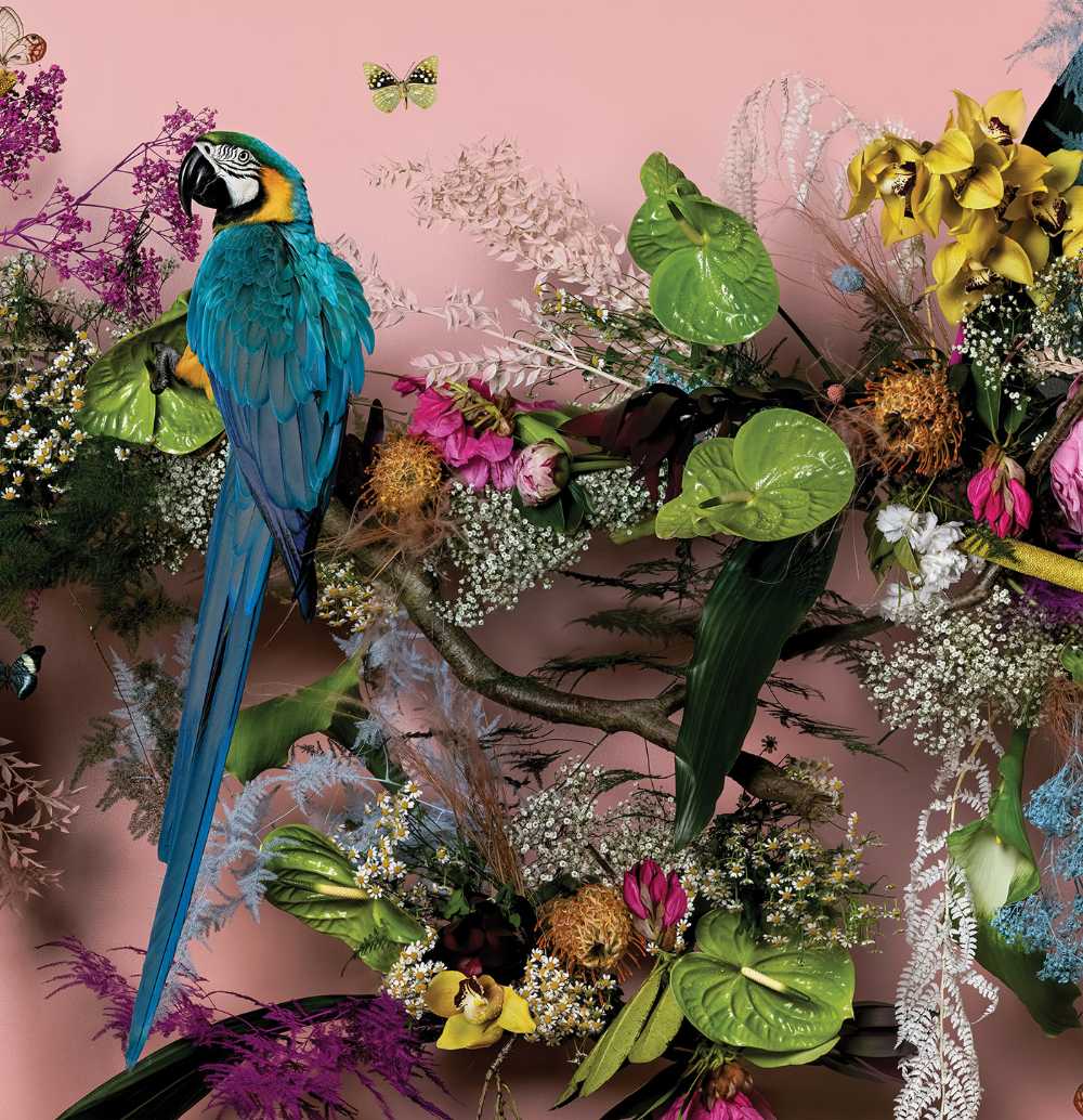 Wonderlust. An artist's love letter to nature