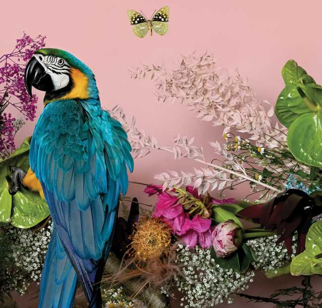 Wonderlust. An artist's love letter to nature