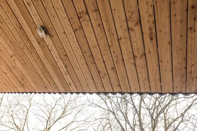 House in a Walnut Grove- minimalist living amidst nature