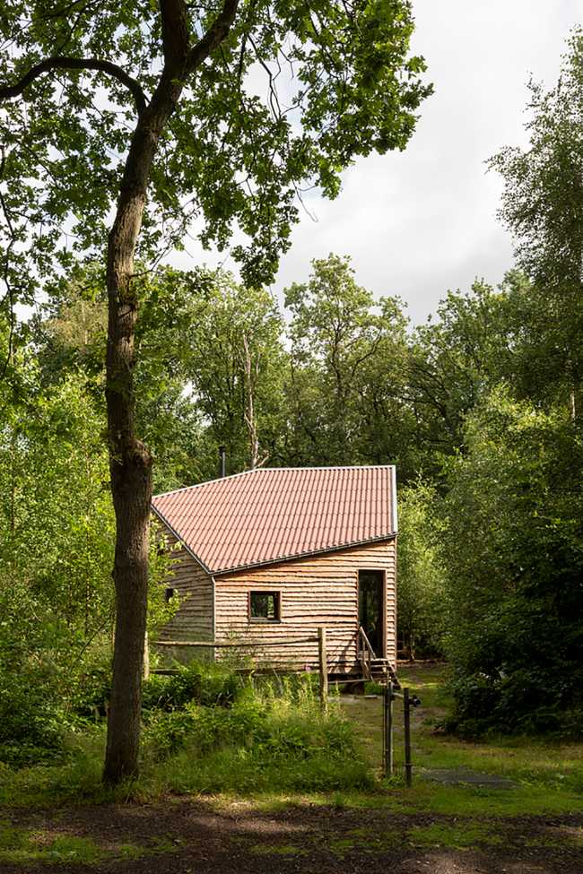 11 poles and a pentagonal plant for the ecological house that floats half a meter above the ground