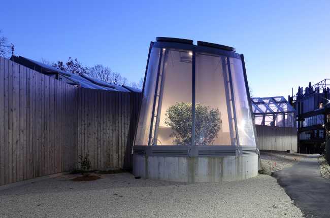 Global Flora Conservatory, a dynamic space brimming with diverse vegetation