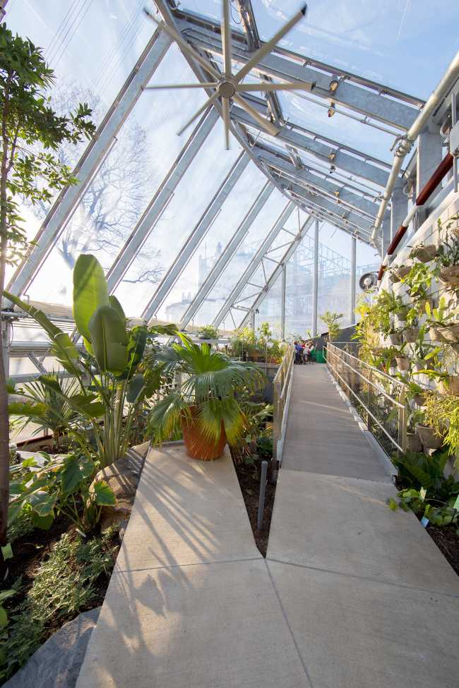 Global Flora Conservatory, a dynamic space brimming with diverse vegetation