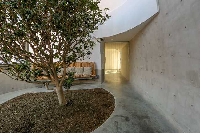 Global Flora Conservatory, a dynamic space brimming with diverse vegetation