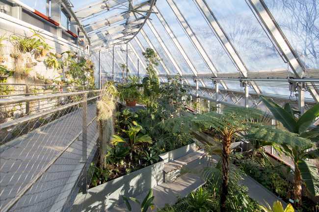 Global Flora Conservatory, a dynamic space brimming with diverse vegetation