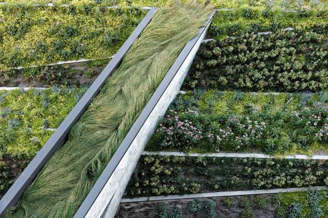 YARD, a social hub that connects to the landscape