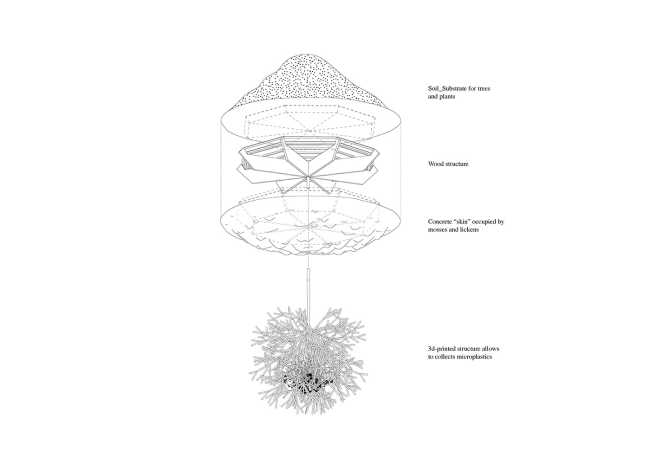 Sweep Island soutient la biodiversité et nettoie les mer