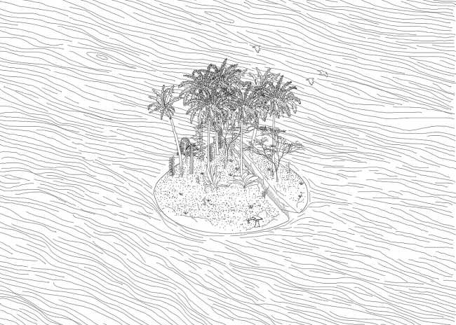 Sweep Island soutient la biodiversité et nettoie les mer