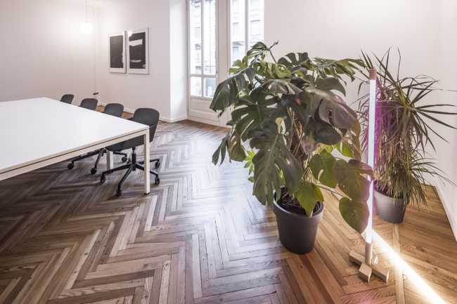 Artea Foundation's operating headquarters. A neutral space as a backdrop to art