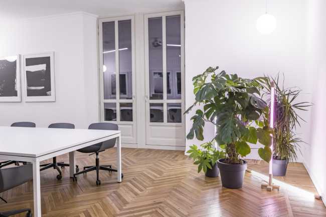 Artea Foundation's operating headquarters. A neutral space as a backdrop to art