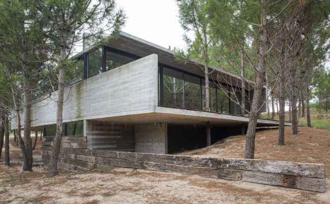 Architecture for architects at Casa L4. Exposed concrete and landscape