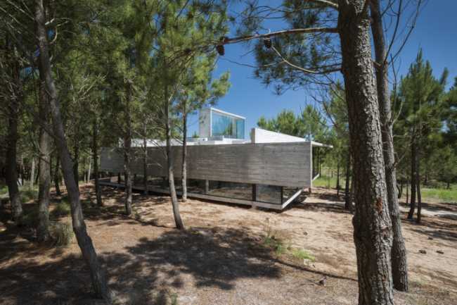 Architecture for architects at Casa L4. Exposed concrete and landscape