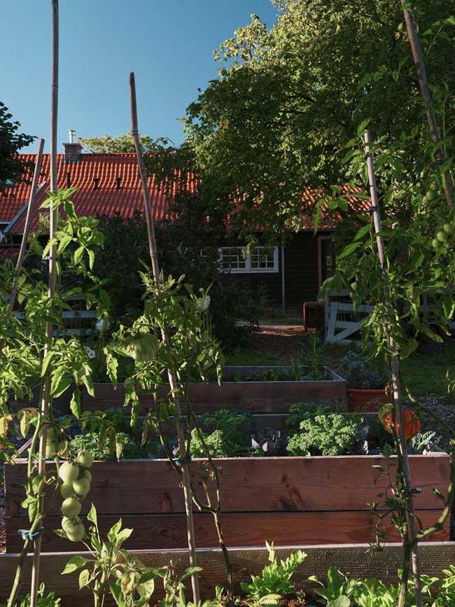 House Zandpad: rebirth of an ancient residence