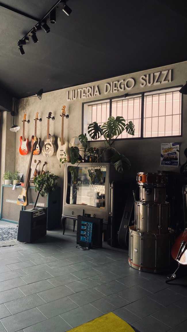 Diego Suzzi Violin Making: the manual art of bringing old musical instruments back to life
