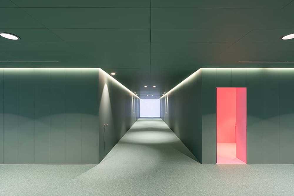 Requalification of the Navarra Hospital: a new space for allergology