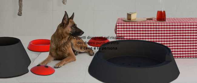 Zuccotto: design for the well-being of our four-legged friends