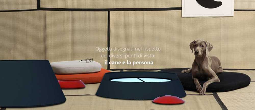 Zuccotto: design per il benessere a quattro zampe