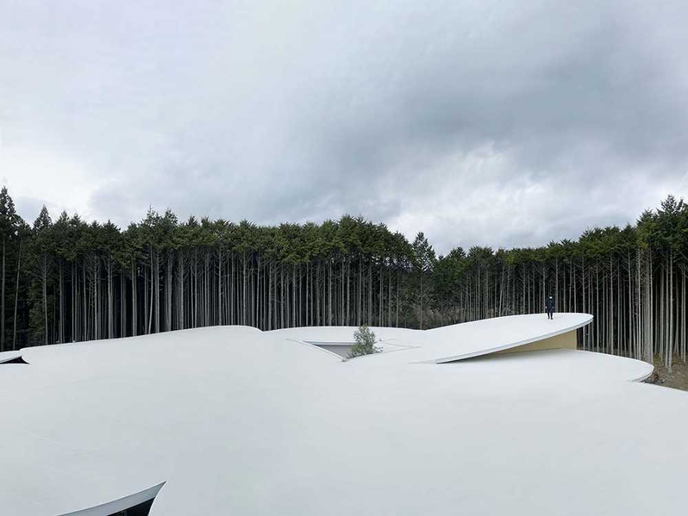 Children's Forest. Una escuela infantil que flota suavemente en el bosque