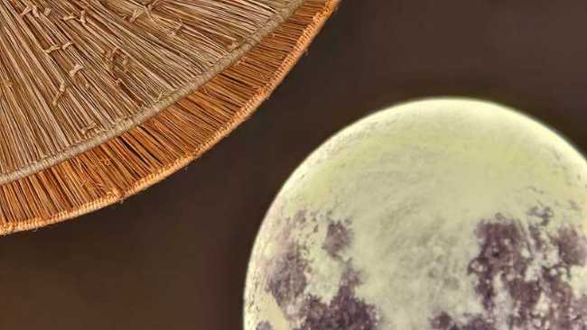 Siamese Moon Restaurant: Thai and minimalist atmospheres