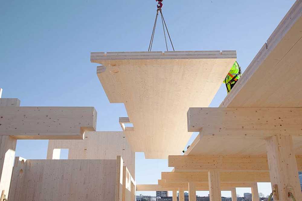 HasleTre: the demountable and reusable wooden commercial building