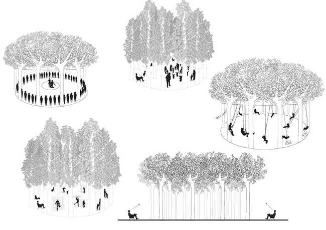 Tree positioning studies