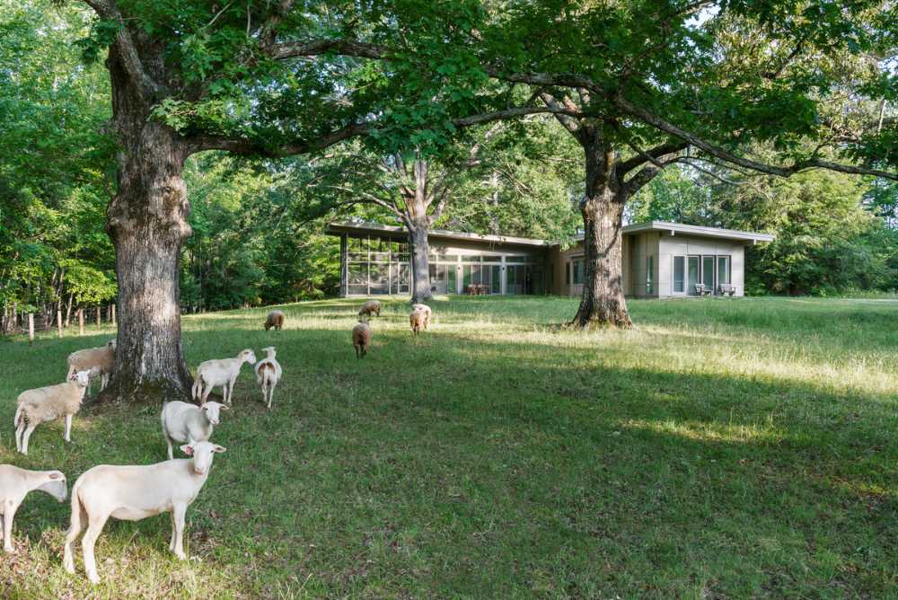 House in the suburbs among the trees