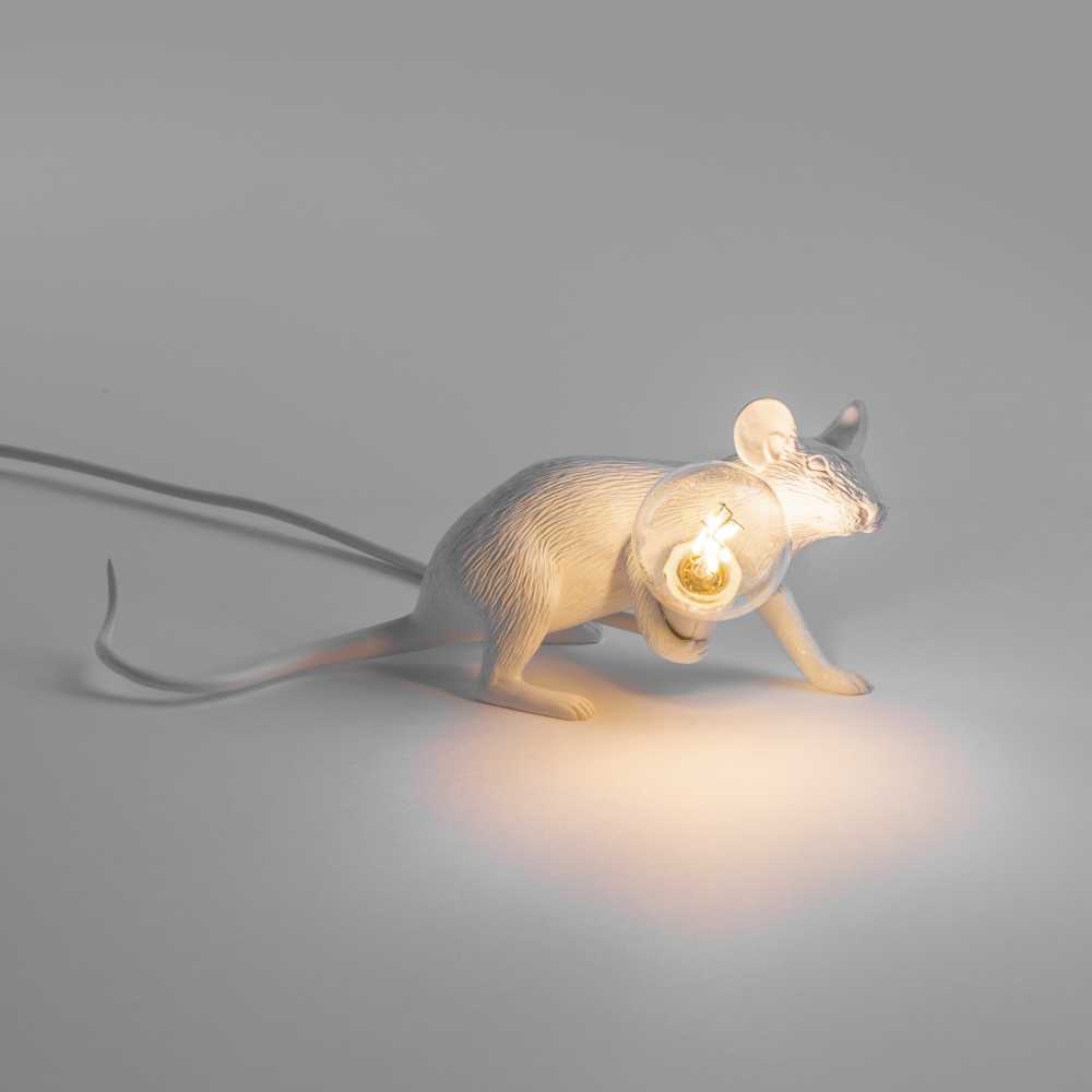 Mouse with lamp