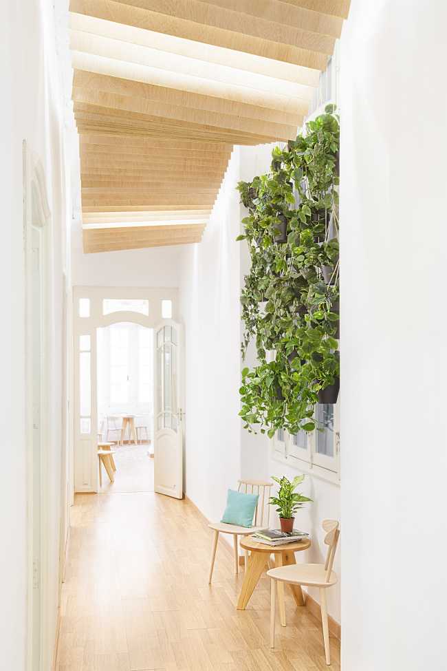 White corridor and wood