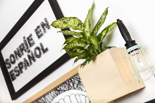 Graphics and pictures in a language school