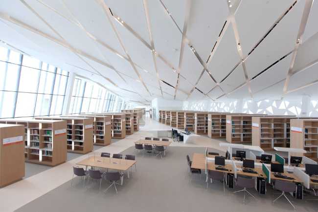 university qatar minimalist fluid forms library