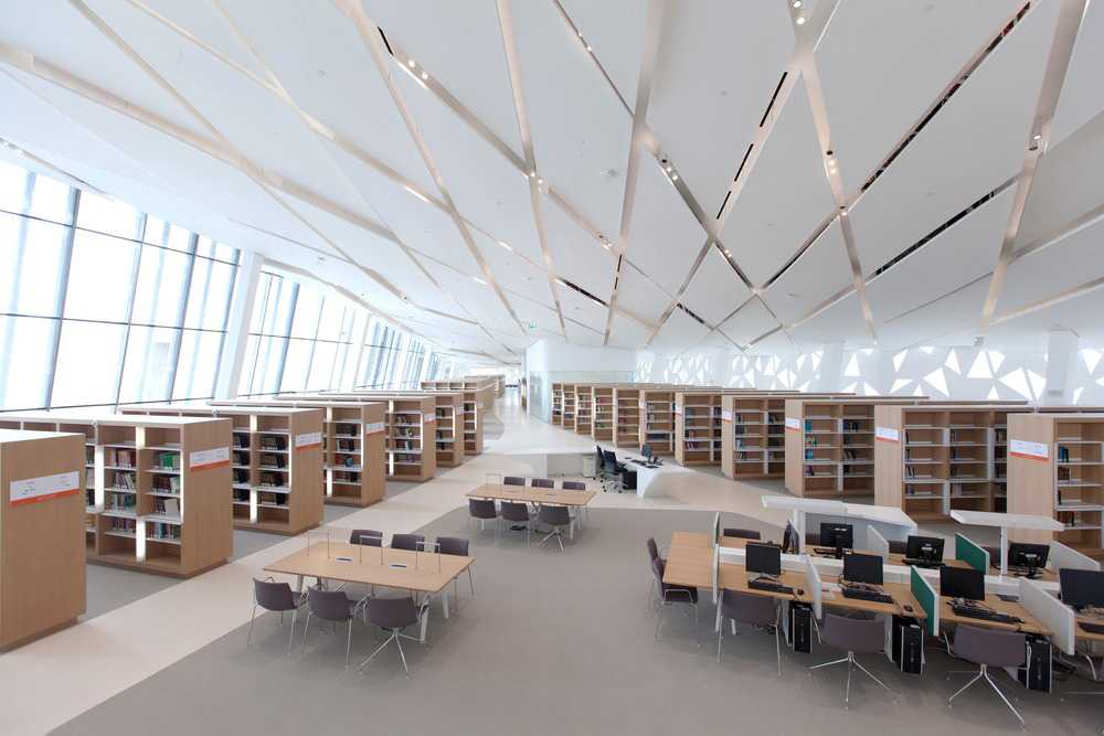qatar university
