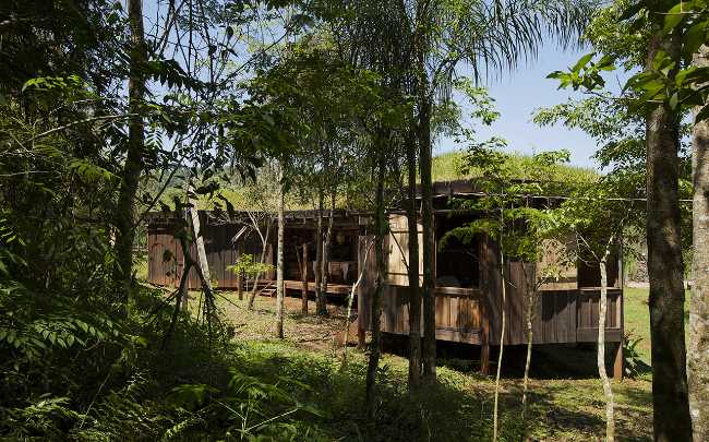 Wooden building hidden among the trees