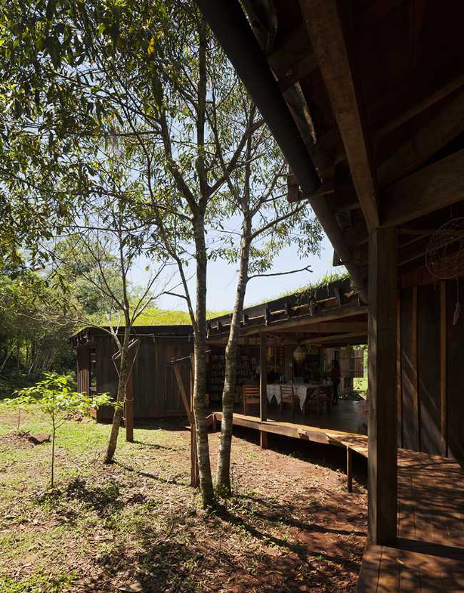 Wooden building with trees