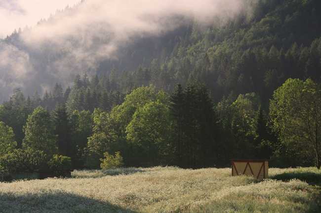 Wooden structure surrounded by nature