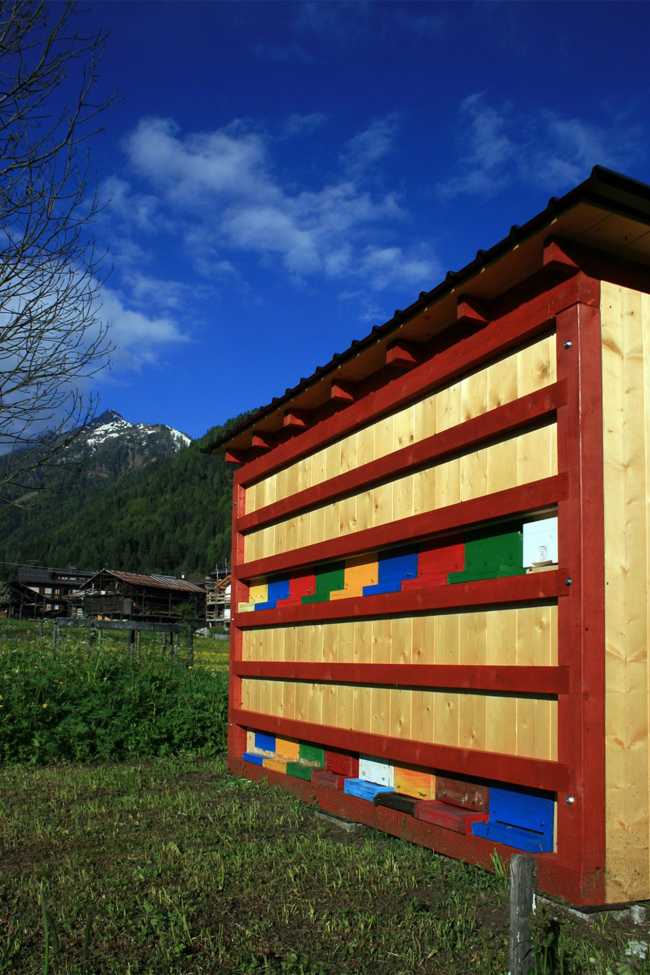 Colored wood for the bee house