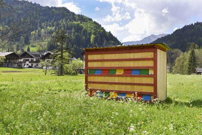 House of bees surrounded by nature