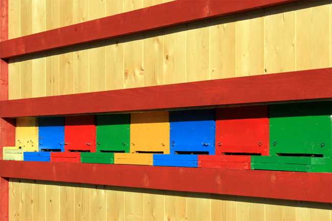 Colored wood for bees