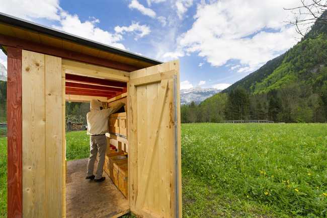Symmetrical openings for the bee house