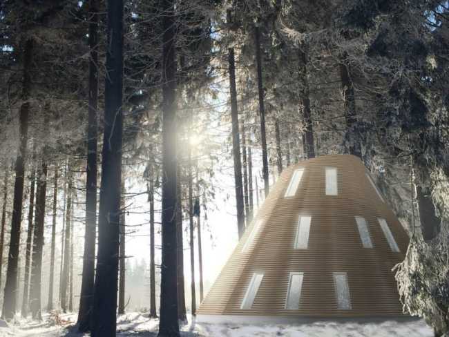 Contemporary wooden house