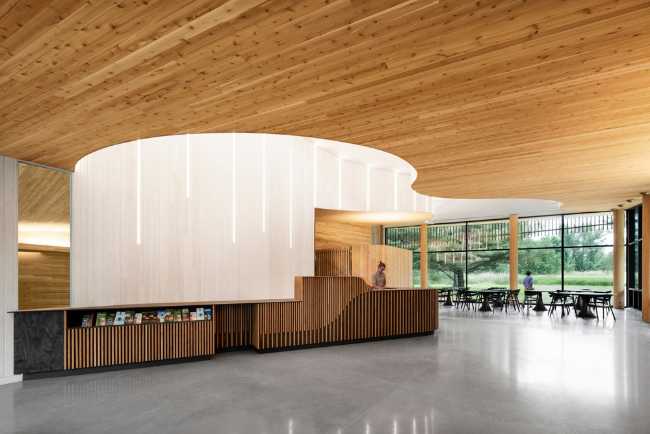 Interiors with curved wooden shapes