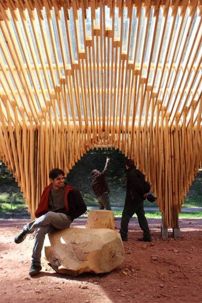 Shelter in wood