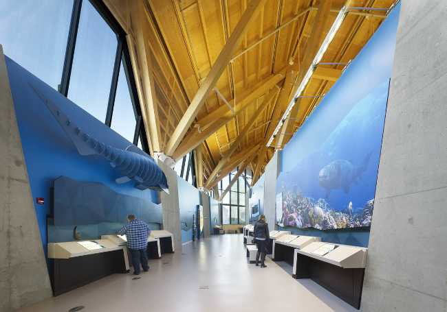 Show museum