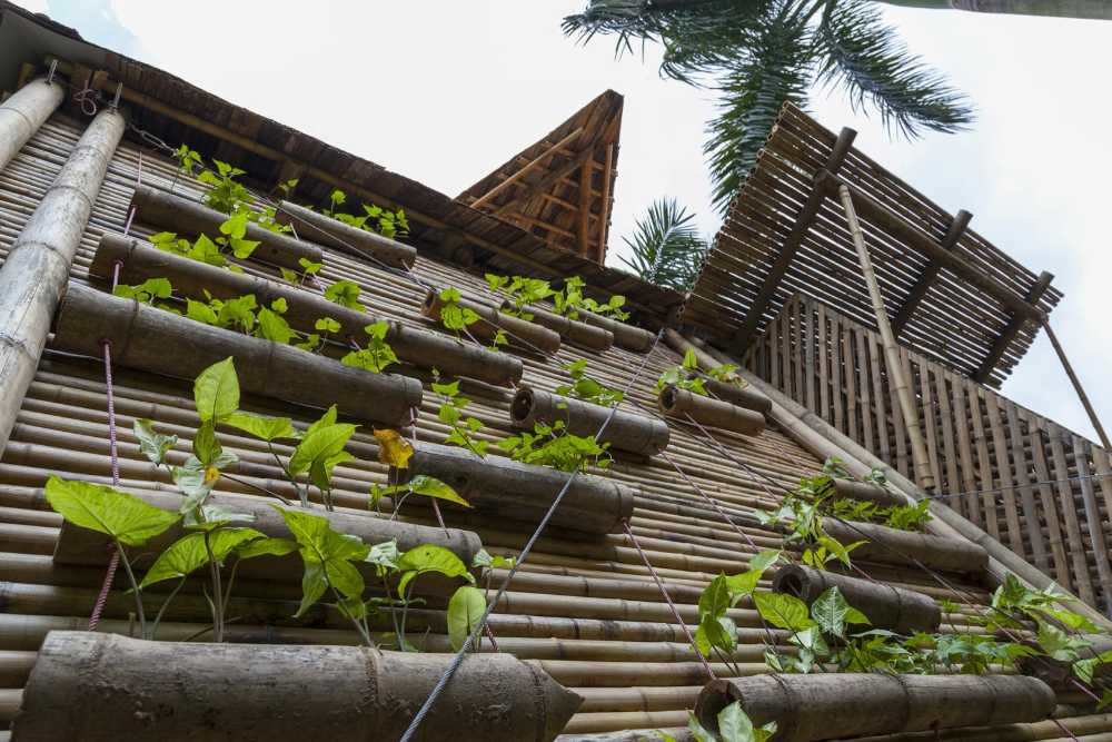 Casa in bambù in Vietnam. Progetto ecosostenibile per dare rifugio a  milioni di persone