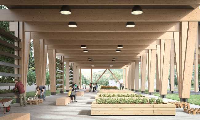 School project in wood garden