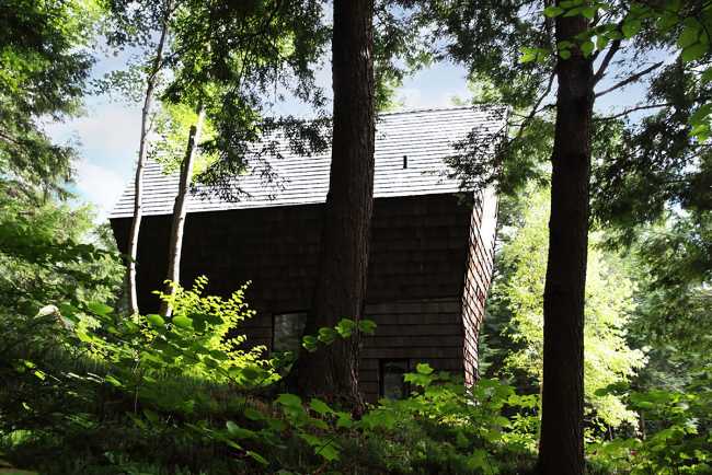refuge in the trees